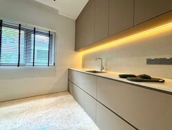 Cairnhill Circle (D9), Terrace #458596241